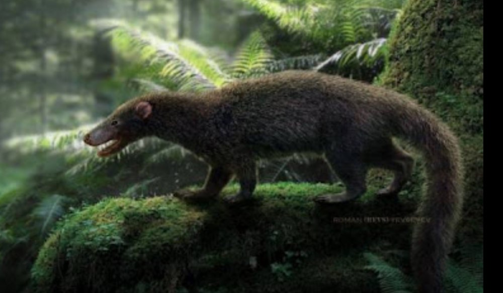 Cronopio dentiacutus вымершие животные
