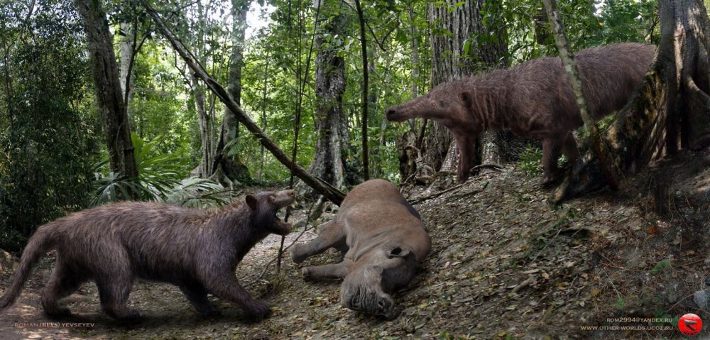 SARKASTODON mongoliensis