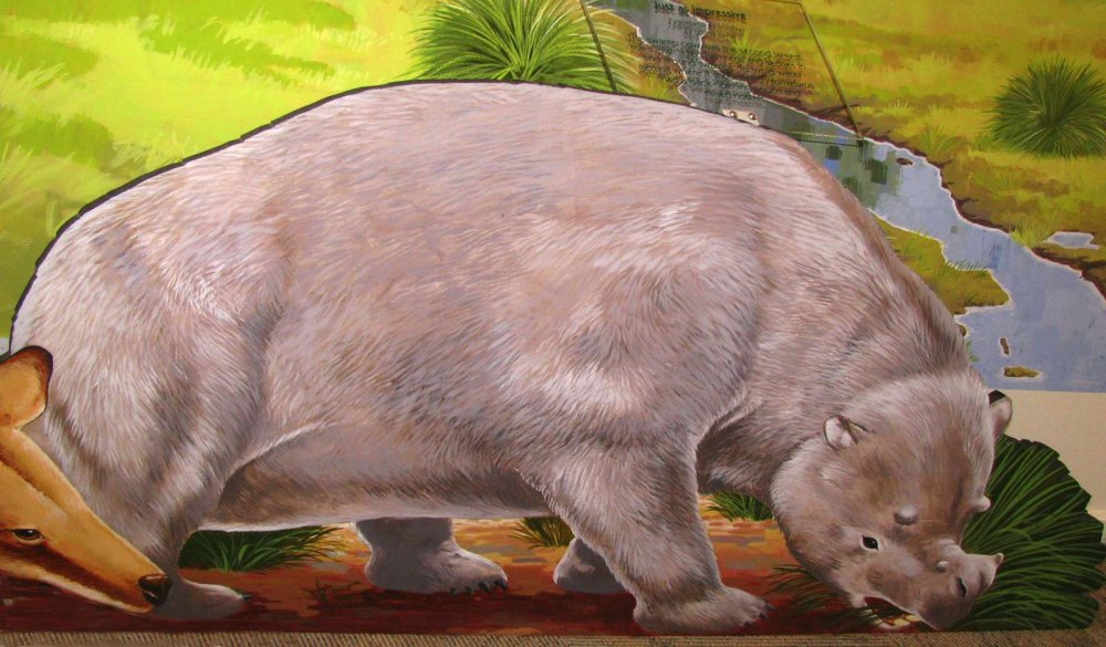 Зигоматурусы
