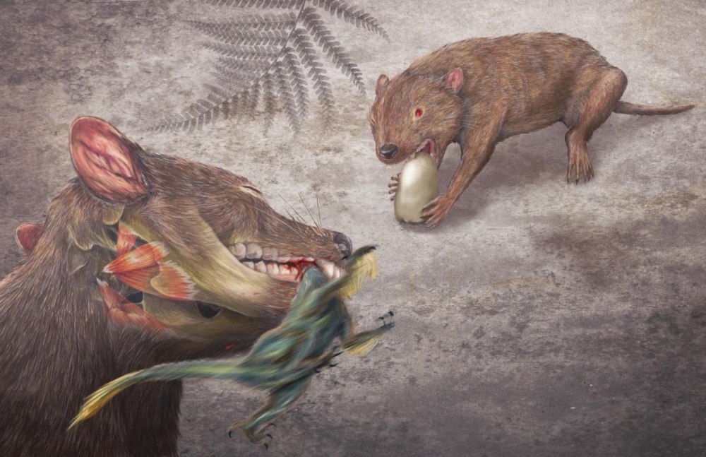 Didelphodon Vorax