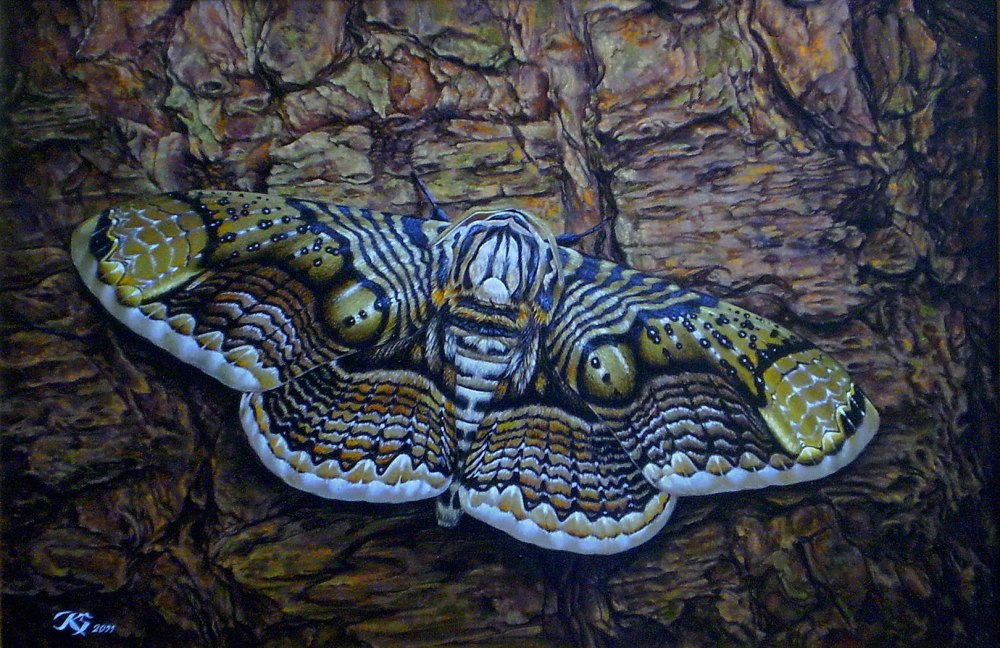 Художник Sergey Kuzmin
