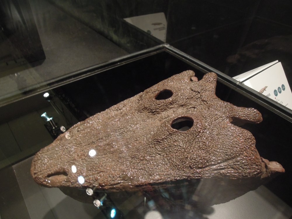 Scylacosuchus Orenburgensis