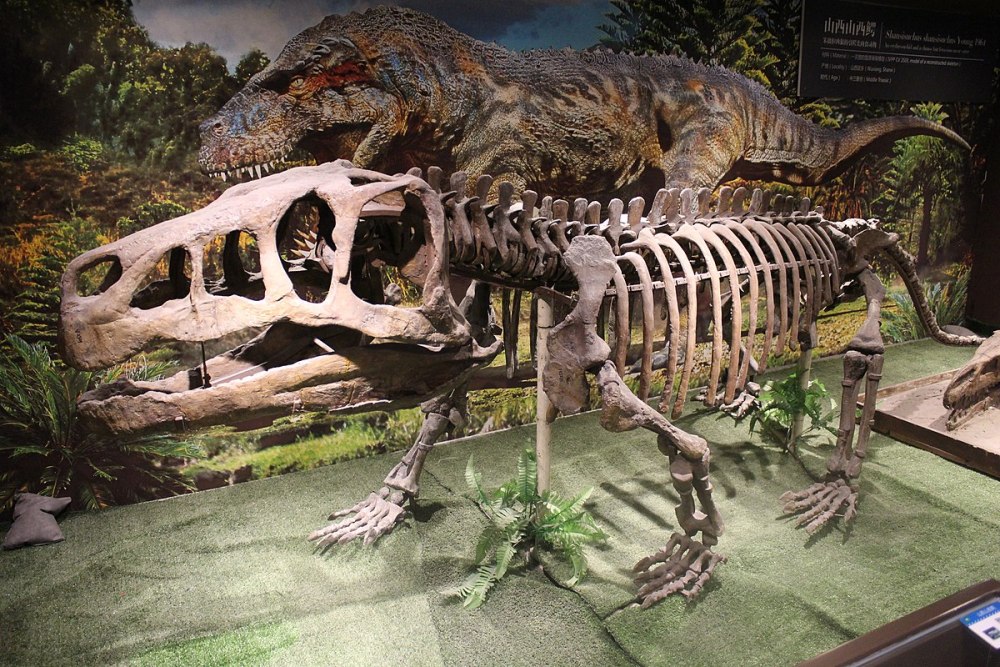 Paleozoological Museum of China