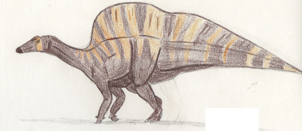 Ouranosaurus nigeriensis