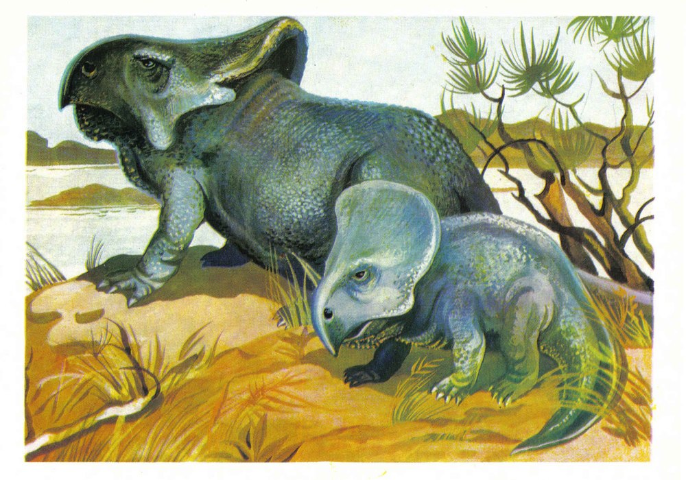Динозавр Protoceratops