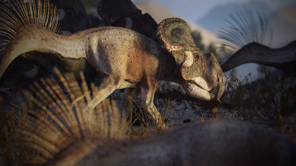 Protoceratops 2019