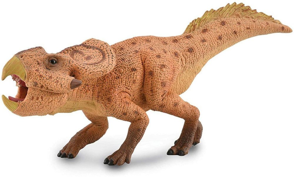 Долихоринхопс Collecta