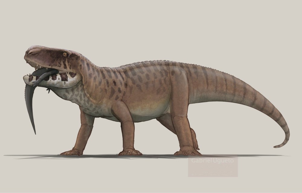 Палеоиллюстратор амфибия Parotosuchus