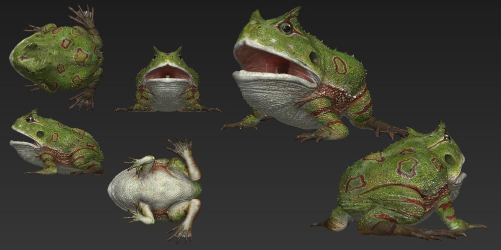 Beelzebufo Ampinga