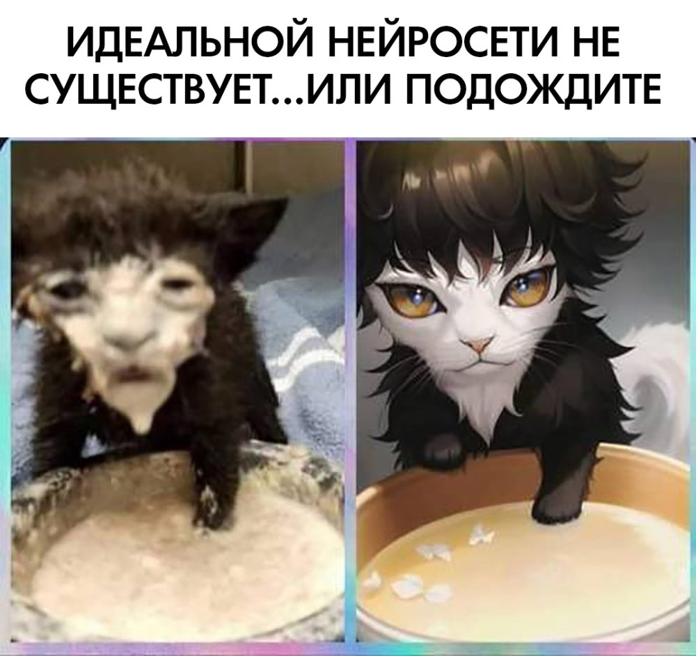 Кот морда в сметане
