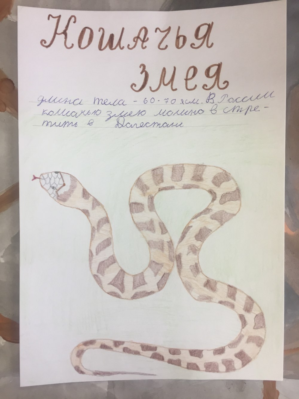 Змея из красной книги