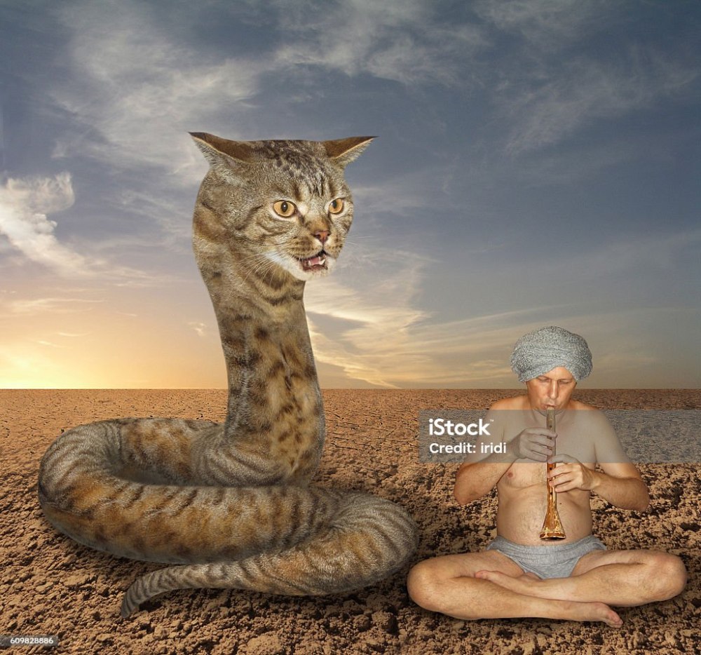 Кот со змеиной головой