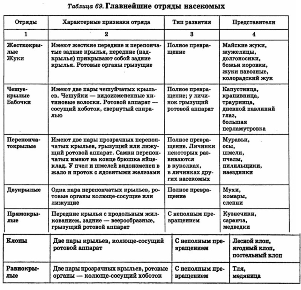 Главнейшие отряды насекомых таблица 7 класс биология