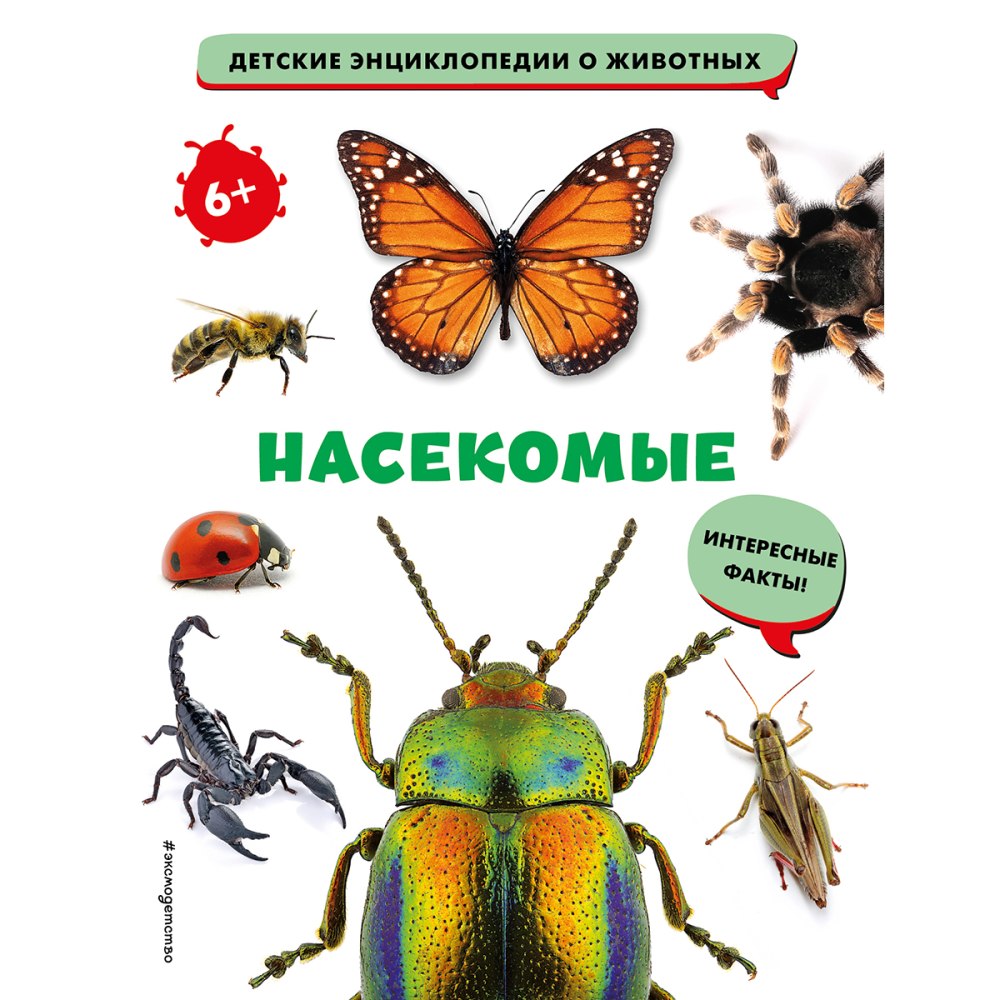 Насекомые сюрпризы природы книга