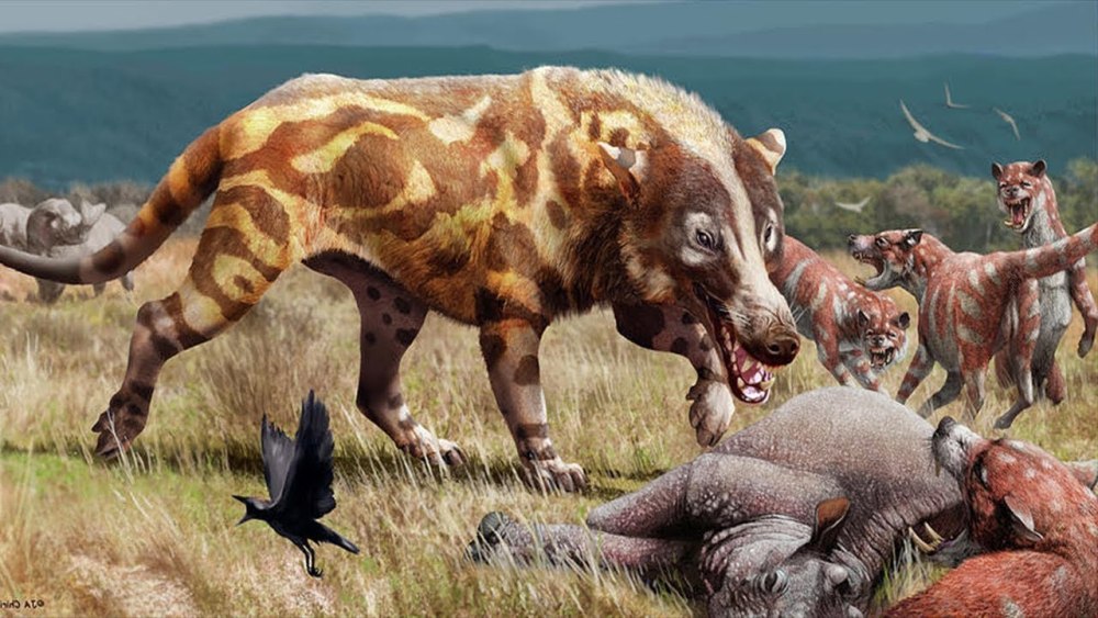 Andrewsarchus mongoliensis