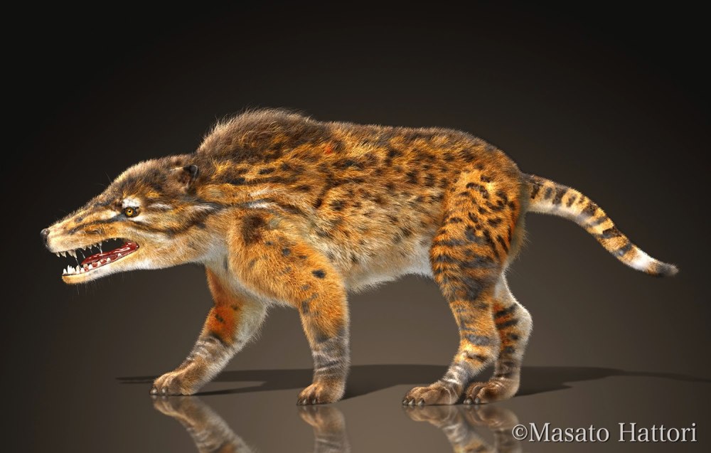 Эндрюсарх (Andrewsarchus)