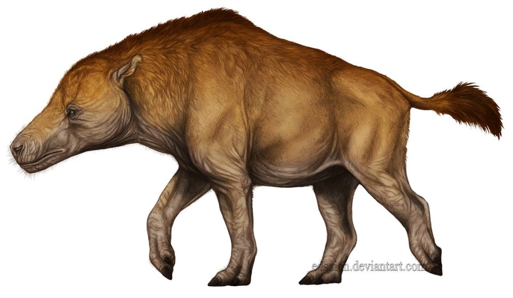 Andrewsarchus mongoliensis