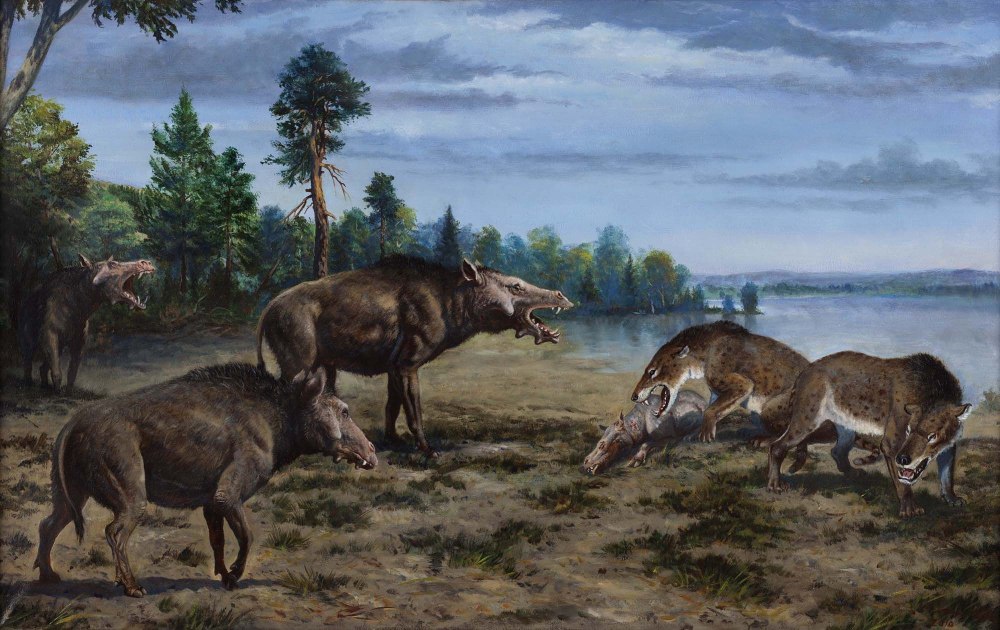 Доисторические хищники Гиенодон