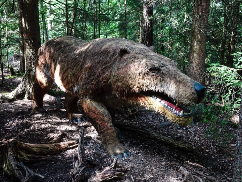 Эндрюсарх (Andrewsarchus)