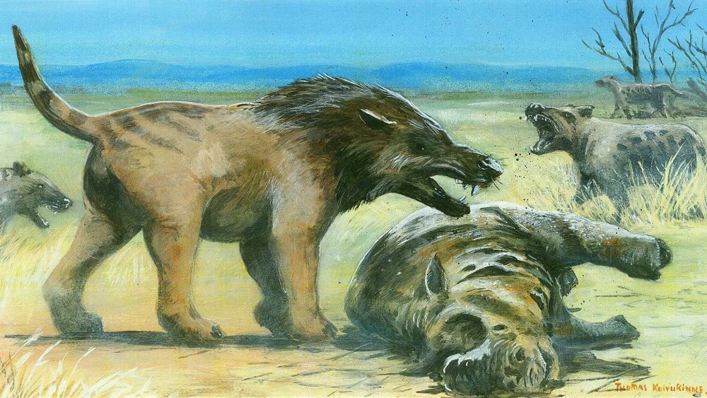 Andrewsarchus mongoliensis