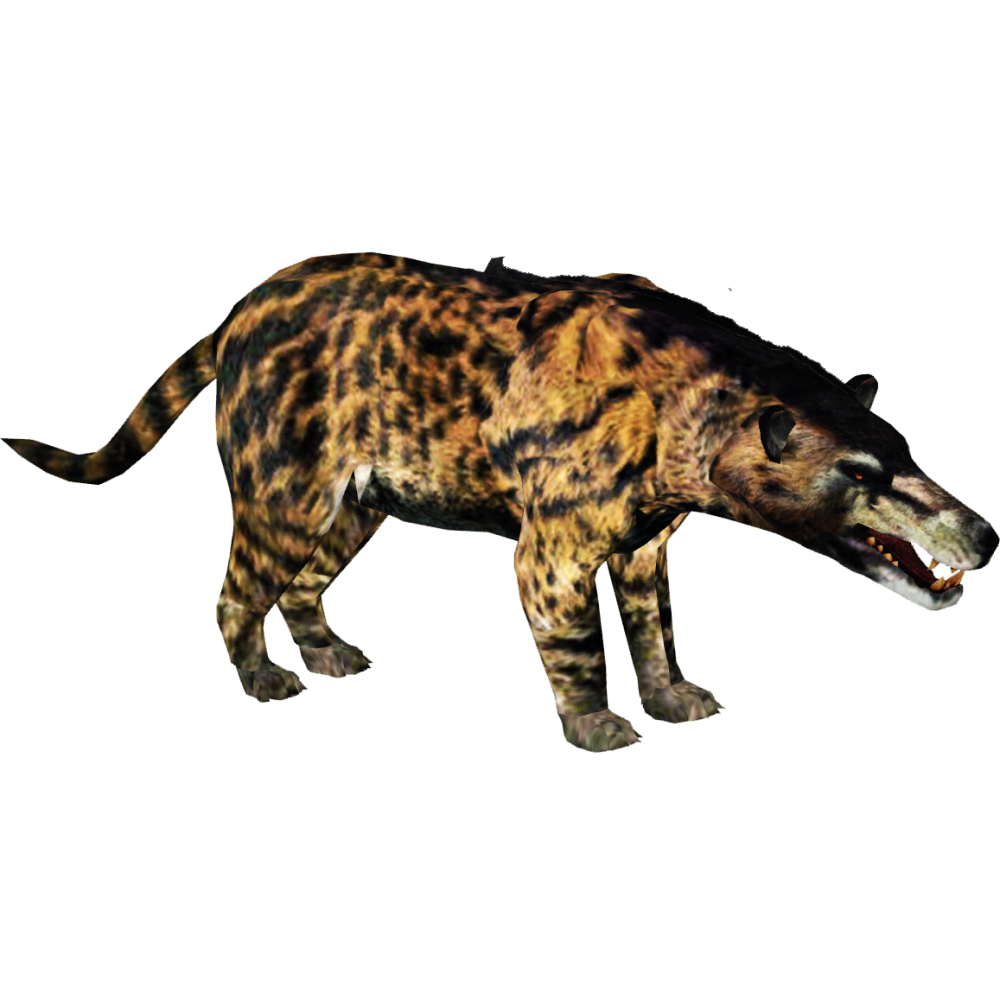 Эндрюсарх (Andrewsarchus)