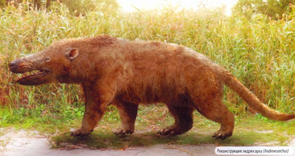 Andrewsarchus mongoliensis