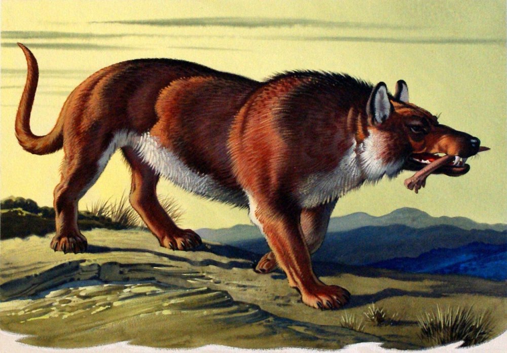 Andrewsarchus mongoliensis