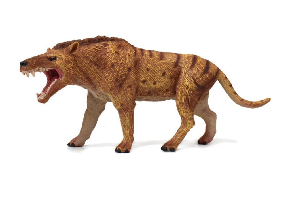 Collecta Эндрюсарх