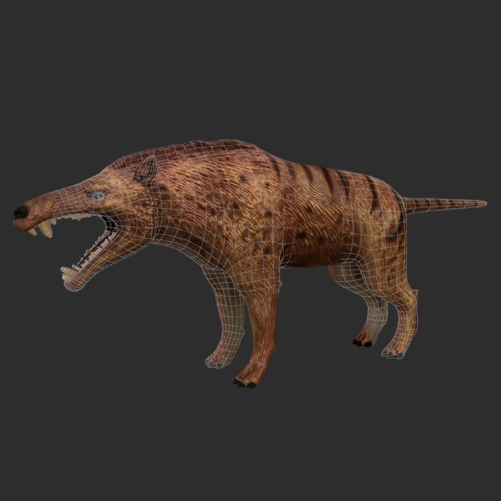 Эндрюсарх (Andrewsarchus)