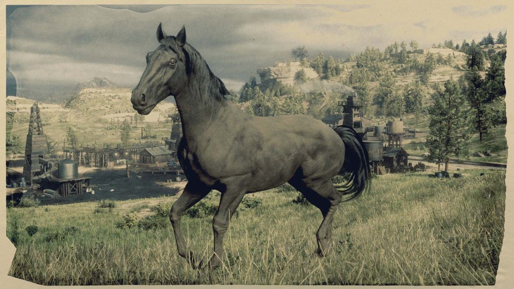 Rdr 2 Мустанг