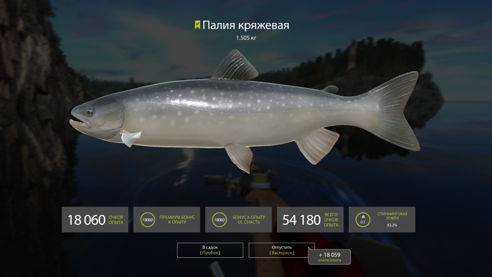 Палия рр4