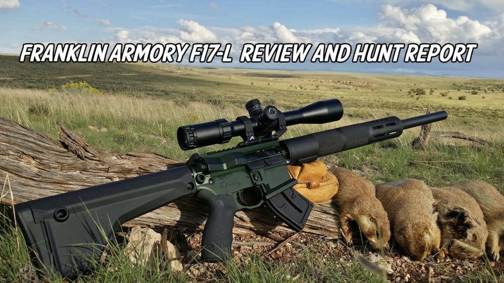 Franklin Armory f 17 l