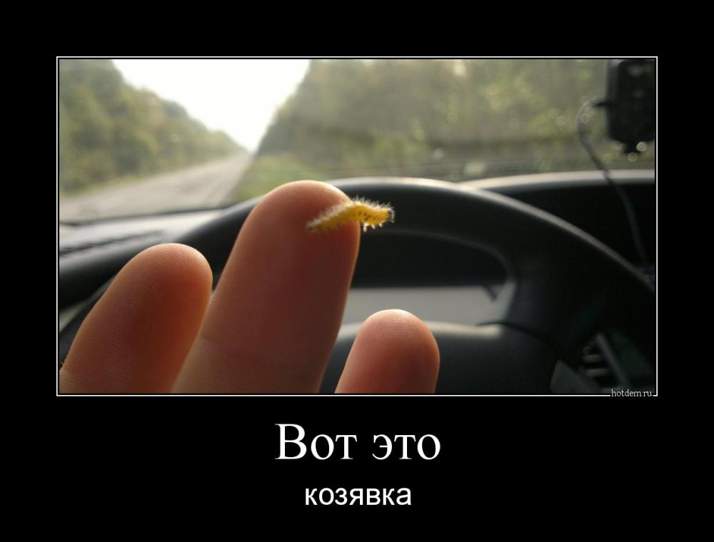 Шутки про козявки