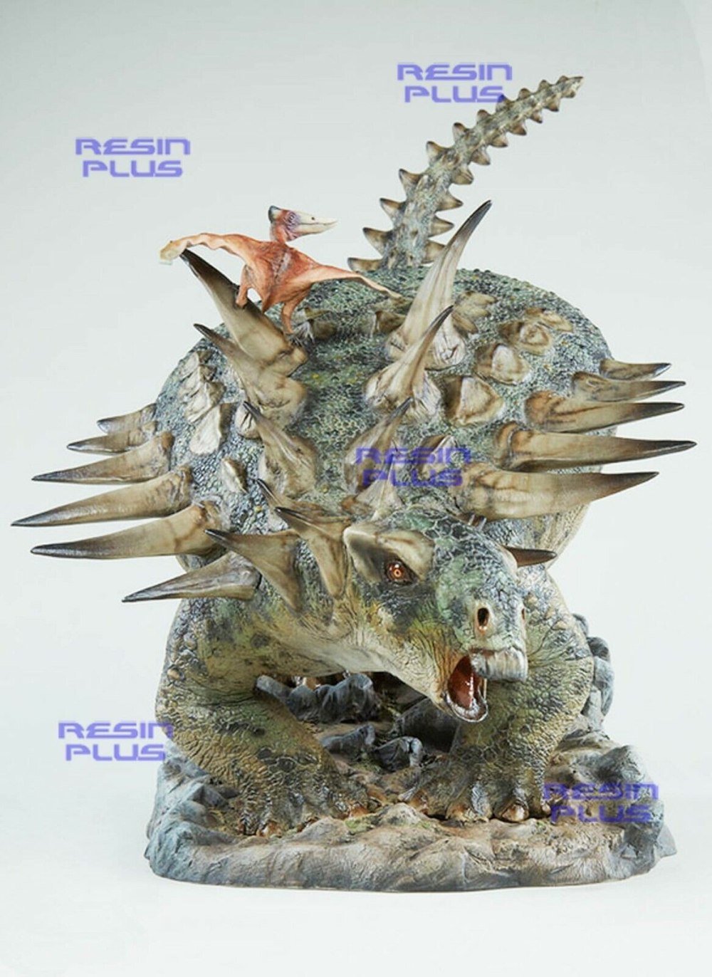 Gastonia Burgei