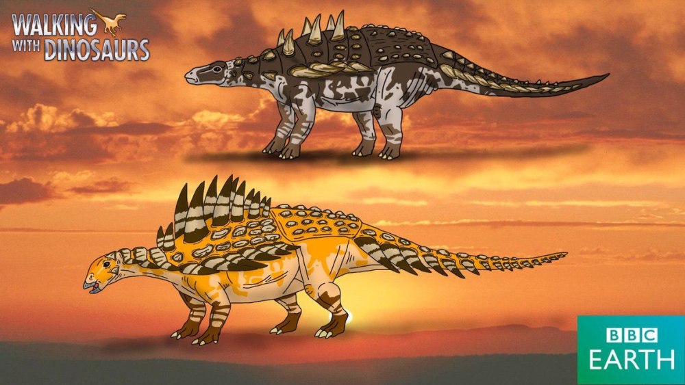 Gastonia Burgei