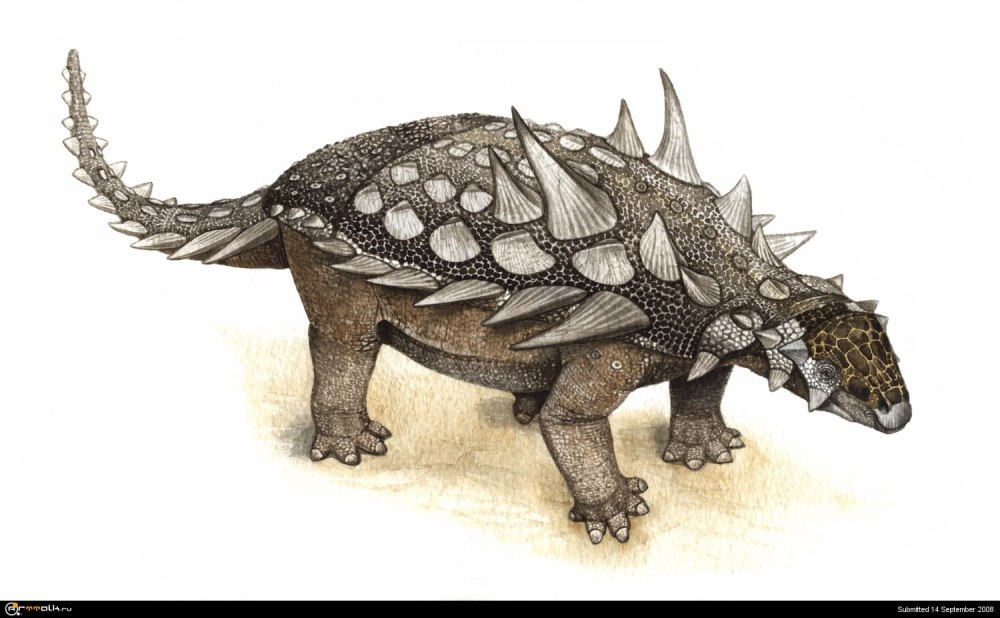 Gastonia Burgei