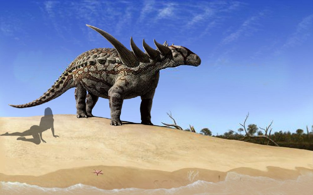 Julius Csotonyi