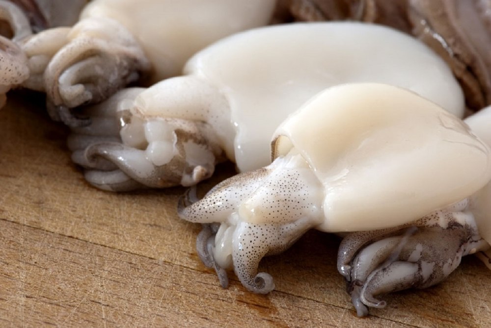 Каракатица морепродукт