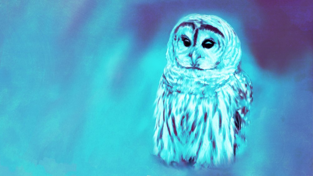 Филин диджитал