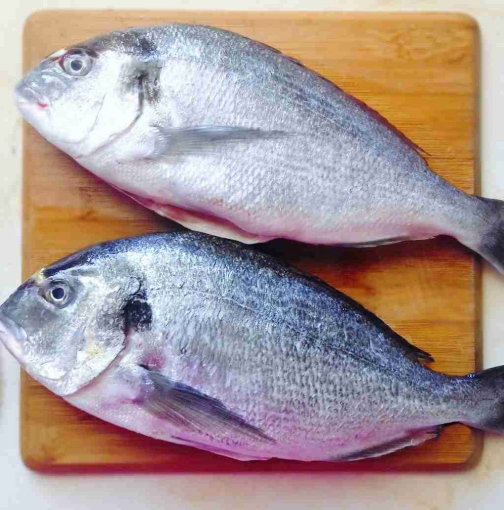 Sea Bream Fish