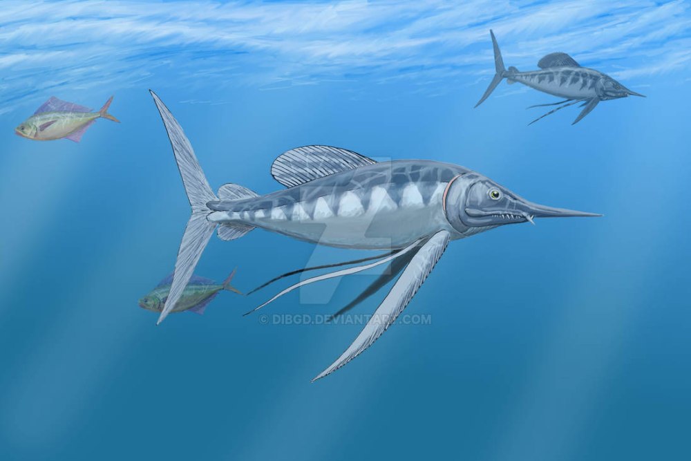 Протосфирена меловой период