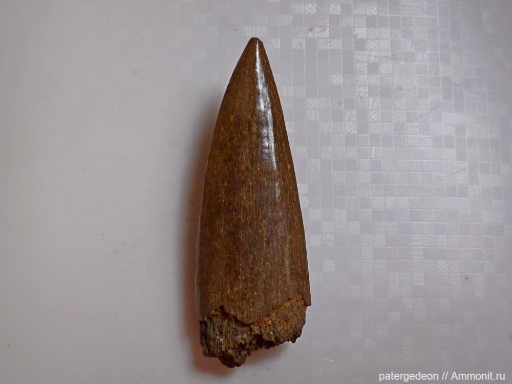 Струйчатая эмаль Протосфирена