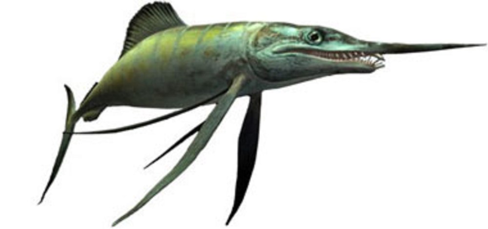 Протосфирена меловой период