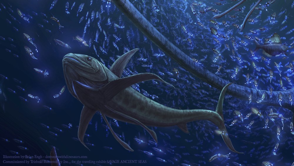 Kenichthys