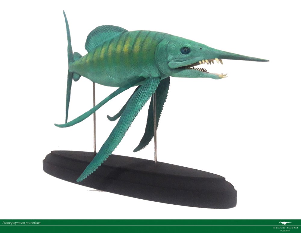 Рыба Протосфирена