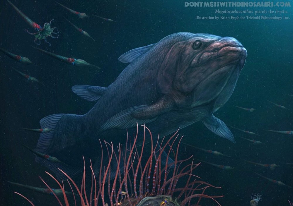 Рыба Протосфирена