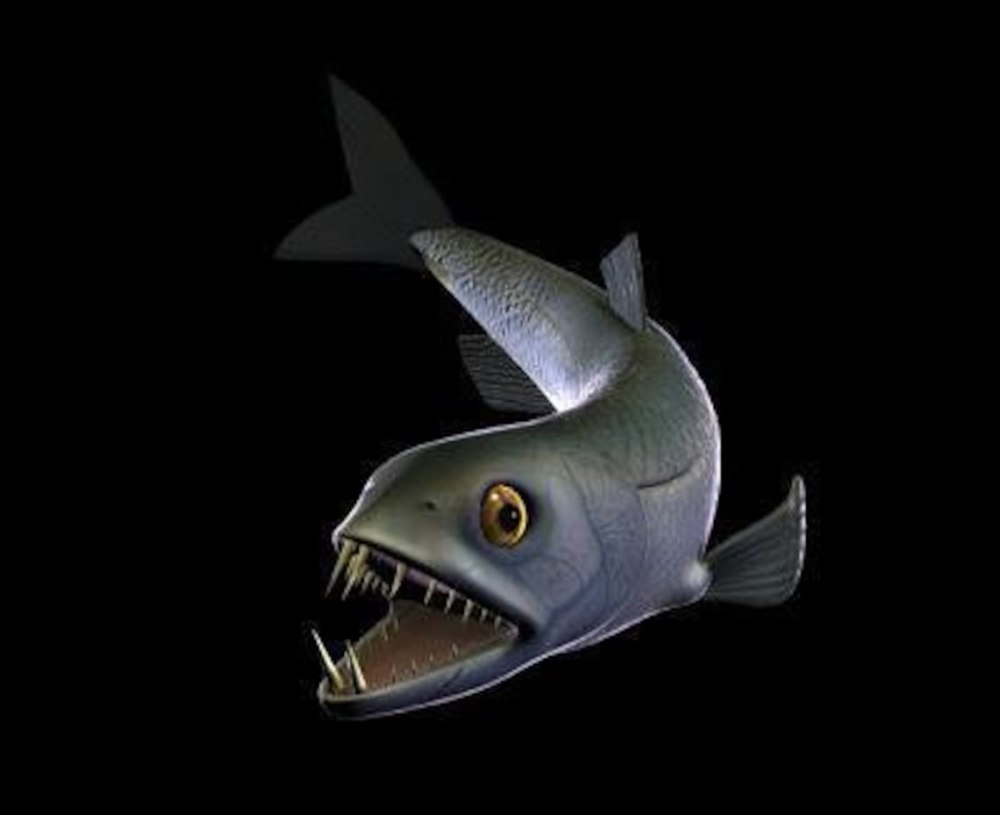 Саблезубая сельдь