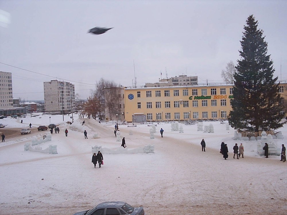 Площадь чернушки зимой