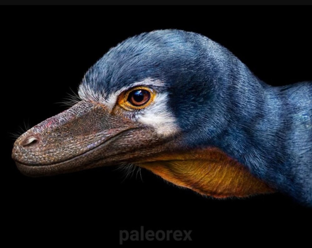 PALEOREX Art