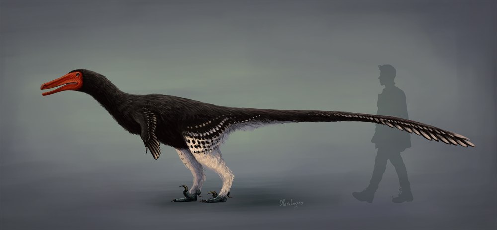 Austroraptor cabazai